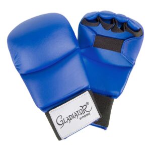 [Regular Class] Kumite Sparring Gloves